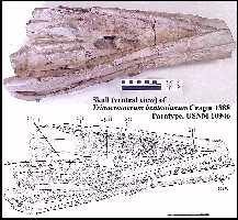 us10946d.jpg (12400 bytes)