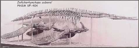 vp-404a.jpg (12433 bytes)