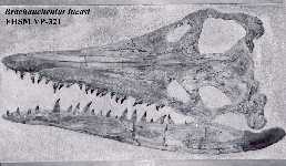 vp321a.jpg (8347 bytes)