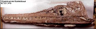 vp5070a1.jpg (5487 bytes)