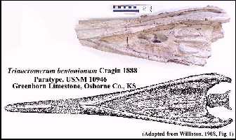 willtbea.jpg (15875 bytes)