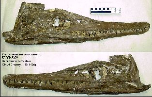 KUVP5070-1a.jpg (22200 bytes)