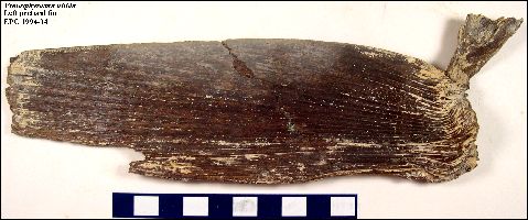 EPC1994-04a.jpg (28870 bytes)