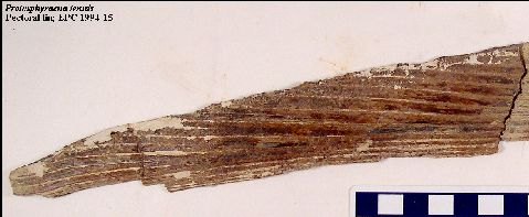 EPC1994-15a.jpg (22894 bytes)