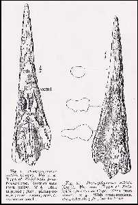 hay01a.jpg (13873 bytes)