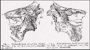 hay03a.jpg (19886 bytes)