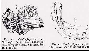 hay04a.jpg (16012 bytes)