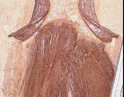 kuvp508a.jpg (10422 bytes)