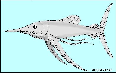 protosp-4a.jpg (19019 bytes)