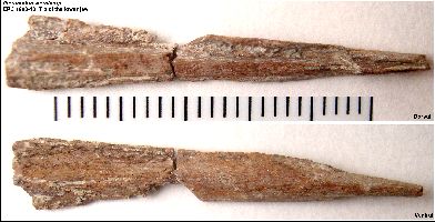 EPC1990-40_JawTip3a.jpg (22771 bytes)