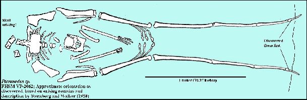 FieldNotesa.jpg (29958 bytes)