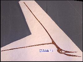 KJ1-MODA.jpg (9725 bytes)