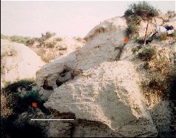 VP7203_Dig01a.jpg (16615 bytes)