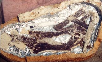 VP7203_Dig10a.jpg (27587 bytes)