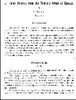 Wiman1920Texta.jpg (12813 bytes)