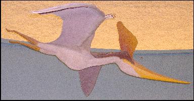 pteronoa.jpg (17908 bytes)