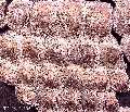 91-106fa.jpg (5923 bytes)