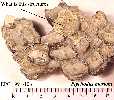 91-106ia.jpg (4006 bytes)
