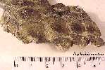 91-106ja.jpg (4209 bytes)