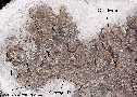 sd10439a.jpg (4002 bytes)