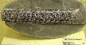 sdbacu1a.jpg (4266 bytes)