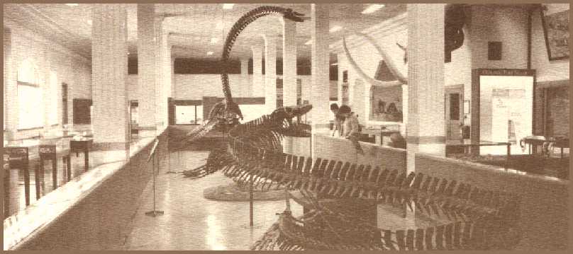 geo-mus.jpg (39035 bytes)