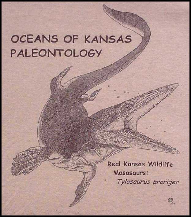 shirt14b.jpg (60229 bytes)