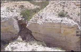 chalk02a.jpg (22478 bytes)