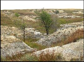trego1a.jpg (22918 bytes)