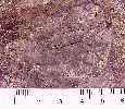 dakota3a.jpg (3951 bytes)