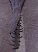 s-doli2a.jpg (1607 bytes)