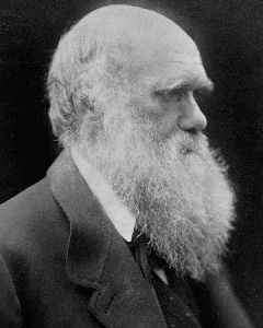 darwina.jpg (14965 bytes)