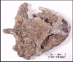 CMC6947X.jpg (12330 bytes)