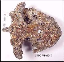 CMC6947Y.jpg (11357 bytes)