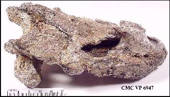 CMC6947Z.jpg (19500 bytes)