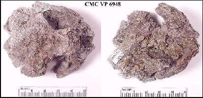 CMC6948A.jpg (21484 bytes)