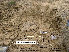TurtleDig01a.jpg (24905 bytes)