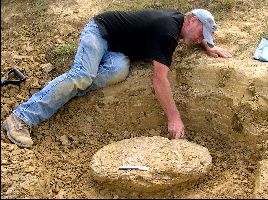 TurtleDig03a.jpg (23877 bytes)
