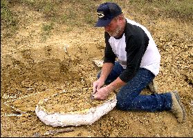 TurtleDig09a.jpg (27352 bytes)