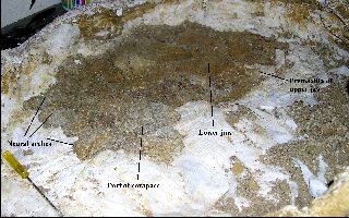 TurtlePrep03a.jpg (26260 bytes)