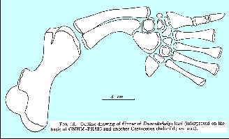 Zangerl-SloanFig18a.jpg (14787 bytes)