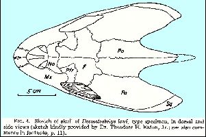 Zangerl-SloanFig4a.jpg (18312 bytes)