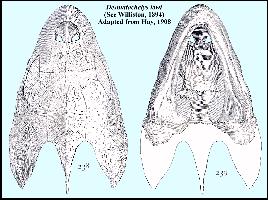 HAYDESM1.jpg (18655 bytes)