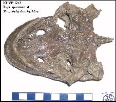 KU1212D.jpg (14409 bytes)