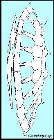 TOXOCH4A.jpg (5671 bytes)