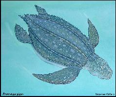 bonprota.jpg (12776 bytes)