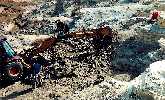 dig-03a.jpg (7454 bytes)