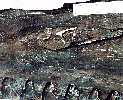 tylo016a.jpg (4933 bytes)