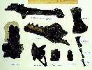 tylo020a.jpg (4358 bytes)