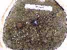 50132-4a.jpg (4945 bytes)